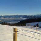 20131203_153320.jpg