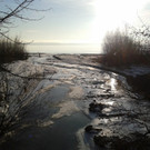 Impressionen Lochau Bodensee 4.12.2013