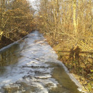 20131204_152032.jpg