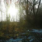 20131204_152404.jpg