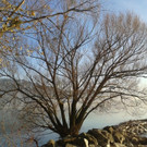 20131204_152619.jpg