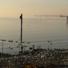 20131204_154657.jpg