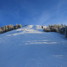 IMG_4411.JPG