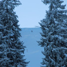 IMG_9997.JPG