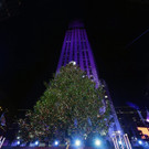 IBD0079-20131205.jpg