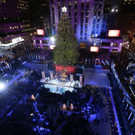 IBD0024-20131205.jpg