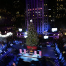 IBD0026-20131205.jpg