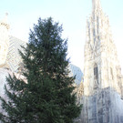 Weihnachtsmarkt am Stephansplatz