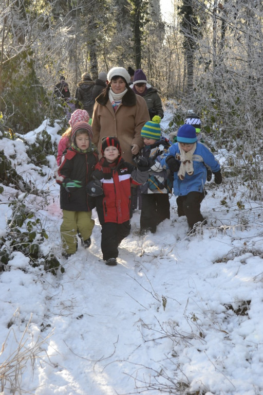 14 Die Kinder machten sich im Wald auf die Suche nach Tieren.JPG