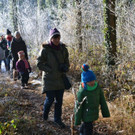 16 Die Kindergartenkinder wurden bei ihrem Waldspaziergang von den Eltern begleitet.JPG