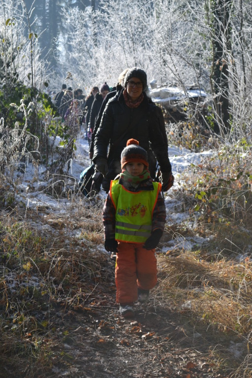 19 Die Kindergartenkinder wurden bei ihrem Waldspaziergang von den Eltern begleitet.JPG