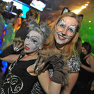 4 Februar Fasching.jpg