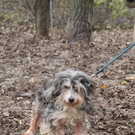 Resi und Vroni wünschen sich zusammen ein Zuhause