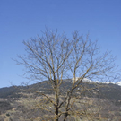 _DSC00820028_1_JPG-1269795591