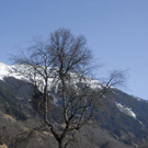_DSC00960033_1_JPG-1269795762