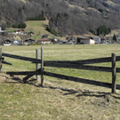 _DSC01080039_1_JPG-1269795965