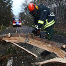 Graal-Mueritz EPA1.jpg