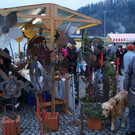 DSC01451.JPG
