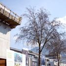 Harry\'s Home Dornbirn