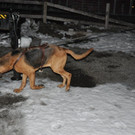 DSC_8287.JPG