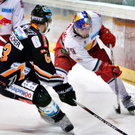 GEPA-28031067014.jpg