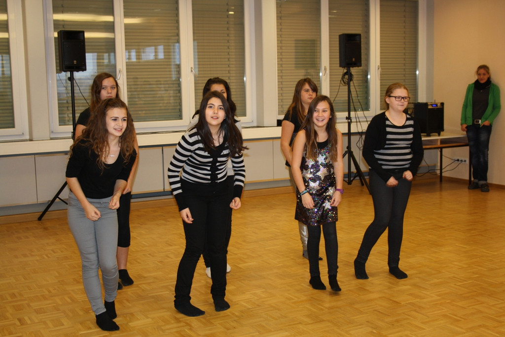 Mittelschule VS Besuch 2013 _10_.jpg