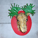 DSCN0417.JPG