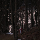 IMG_2734.jpg