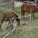 _DSC05670001_1_JPG-1269804341