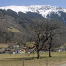 _DSC00840029_1_JPG-1269805943