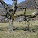 _DSC00850030_1_JPG-1269805970