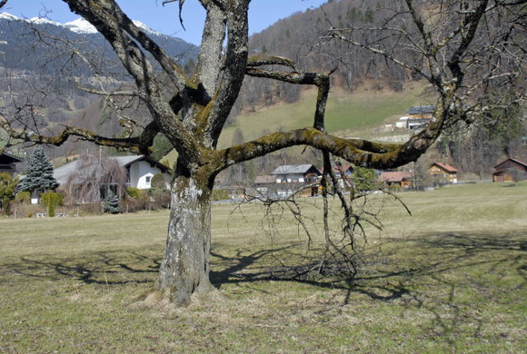 _DSC00850030_1_JPG-1269805970