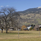 _DSC00880031_1_JPG-1269805999
