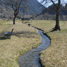 _DSC01030036_1_JPG-1269806093