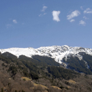 _DSC01260048_JPG-1269806361
