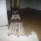 DSCN1260.JPG