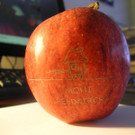 DSCN1277.JPG
