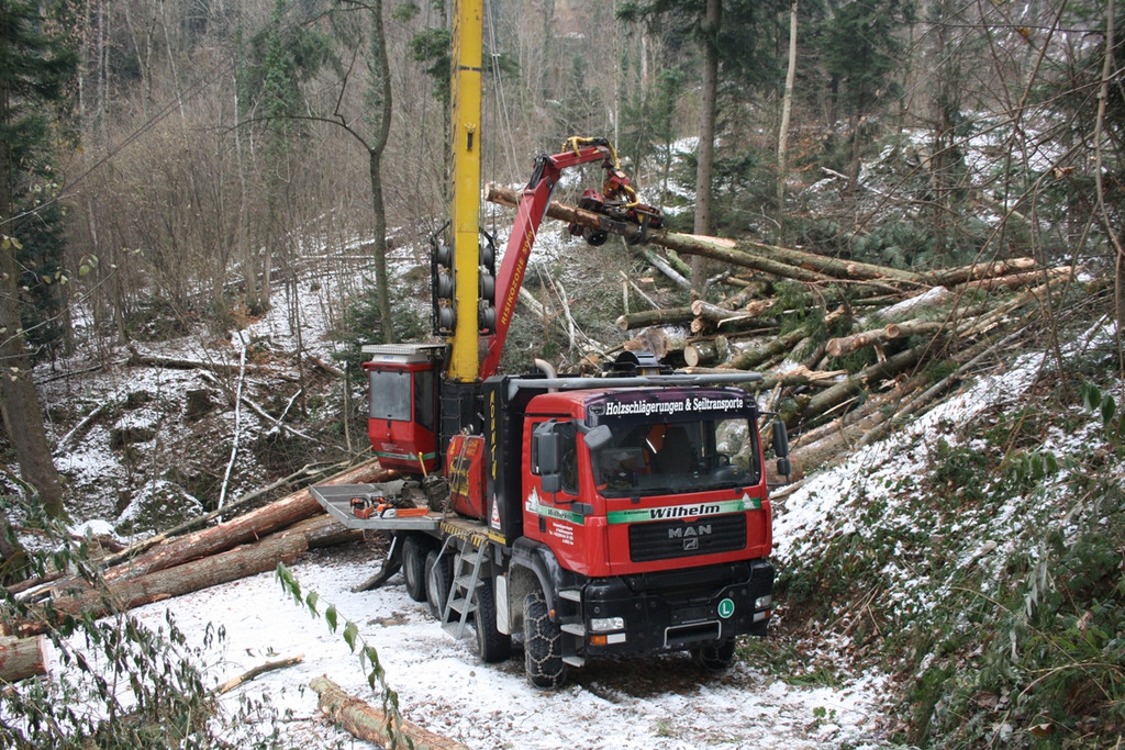 Klausm__hlebach A Waldr__umung ARBEIT _2_.jpg