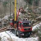 Klausm__hlebach A Waldr__umung ARBEIT _2_.jpg