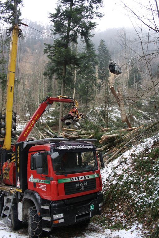 Klausm__hlebach A Waldr__umung ARBEIT _7_.jpg