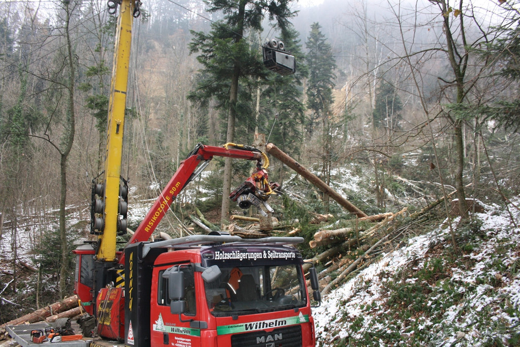 Klausm__hlebach A Waldr__umung ARBEIT _8_.jpg