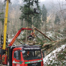 Klausm__hlebach A Waldr__umung ARBEIT _8_.jpg