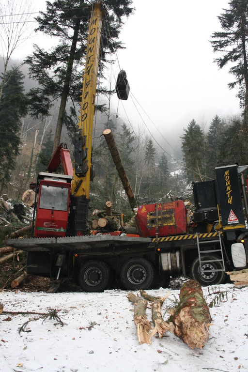 Klausm__hlebach A Waldr__umung ARBEIT _12_.jpg