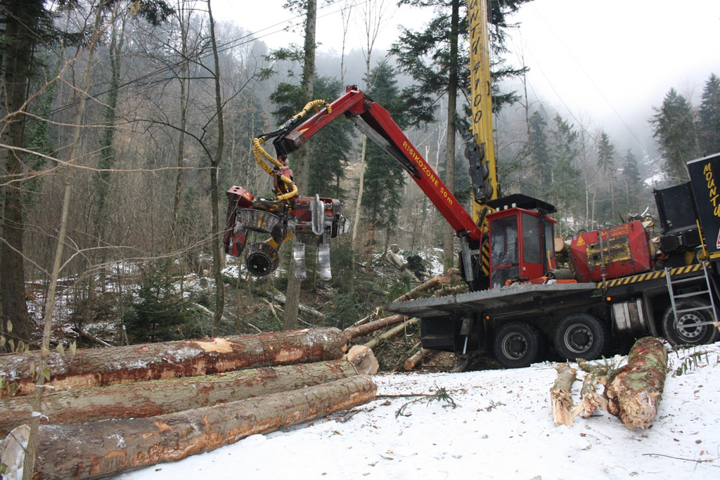 Klausm__hlebach A Waldr__umung ARBEIT _15_.jpg