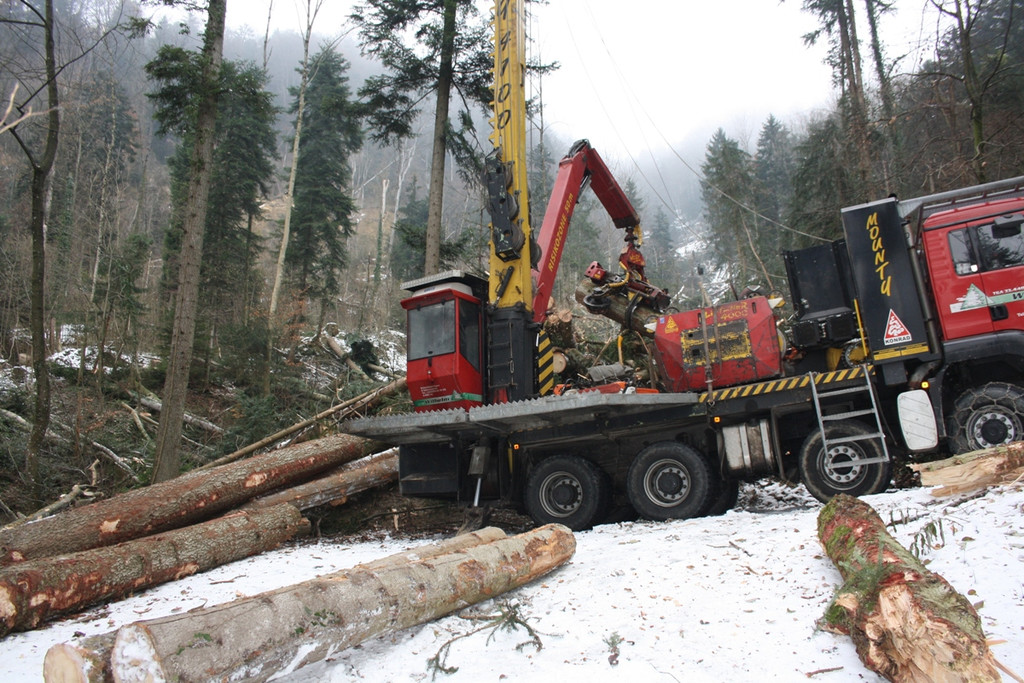 Klausm__hlebach A Waldr__umung ARBEIT _21_.jpg