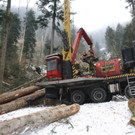 Klausm__hlebach A Waldr__umung ARBEIT _21_.jpg
