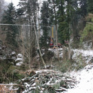 Klausm__hlebach A Waldr__umung ARBEIT _16_.jpg