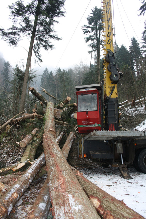Klausm__hlebach A Waldr__umung ARBEIT _22_.jpg