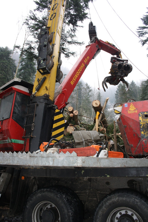 Klausm__hlebach A Waldr__umung ARBEIT _23_.jpg