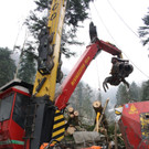 Klausm__hlebach A Waldr__umung ARBEIT _23_.jpg